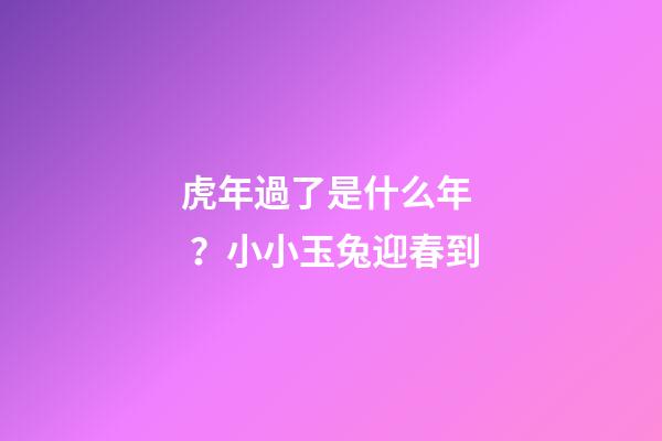 虎年過了是什么年？小小玉兔迎春到